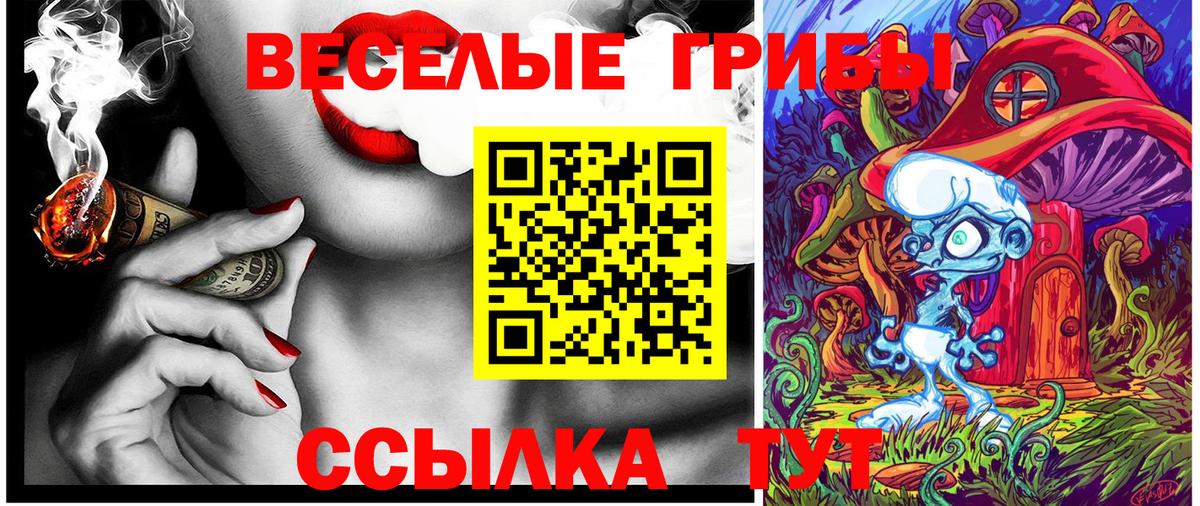 где найти   Псилоцибиновые грибы Magic Shrooms  Вход с VPN  Лосино-Петровский 