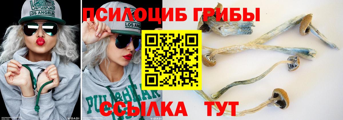 Галлюциногенные грибы мухоморы Лосино-Петровский